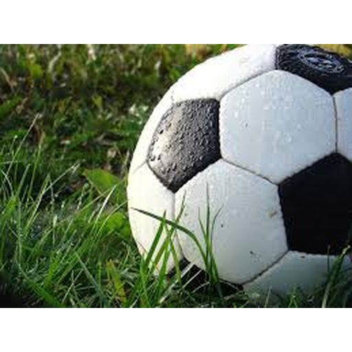 2026年世界杯官网(FIFA World Cup 2026) - 官方网站